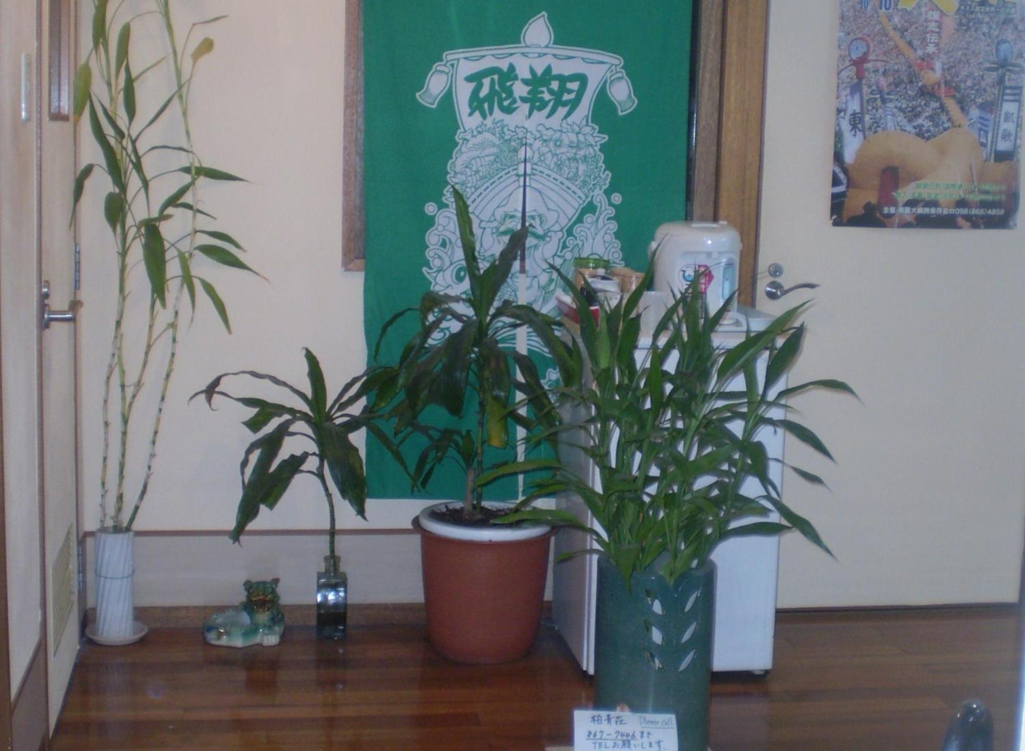 Hostel Hakuseiso Naha Dış mekan fotoğraf