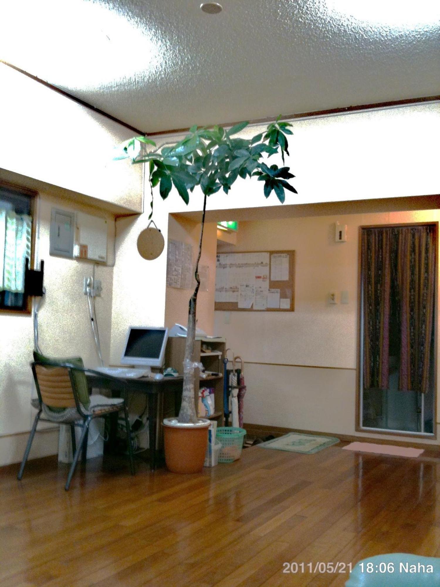 Hostel Hakuseiso Naha Dış mekan fotoğraf